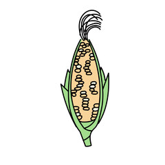 皮付きトウモロコシを描いたシンプルなベクターイラスト｜夏の農作物や食材デザインに使いやすいかわいらしい食品素材