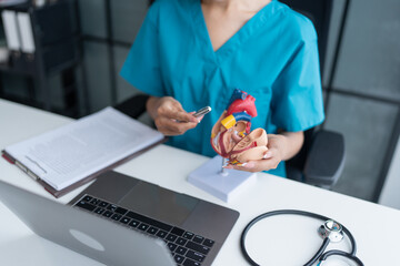 Fototapeta premium Asian woman Doctor with anatomical model of human heart Cardiologist supports the heart. heart diagnose medical checkup cardiologist