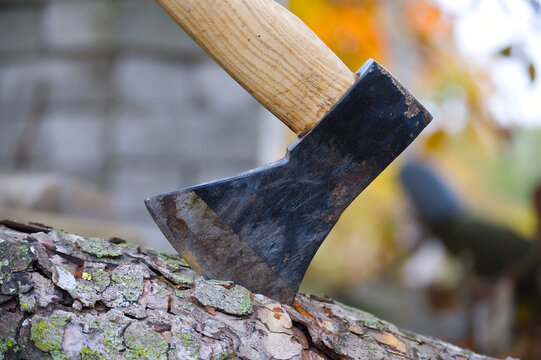 Axe blade cutting into a tree trunk, close-up view of the tool and wood