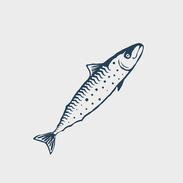 Hand drawn mackerel fish illustration in a simple graphic style.