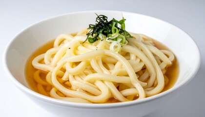Japanese Udon Noodle