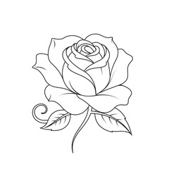 🌹 Detailed Outline Line Art Drawing of a Single Rose Bloom