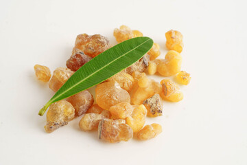 Frankincense or olibanum aromatic resin used in incense and perfumes.