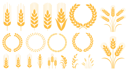 Golden wheat stalks and laurel wreaths for harvest festival and agriculture design