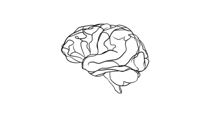 Human Brain Line Art on Transparent Background for Medical Concepts