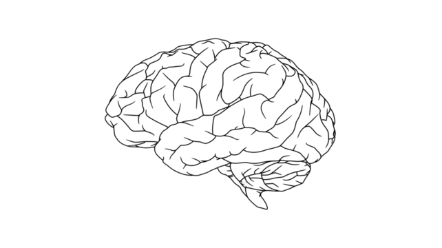 Human Brain Illustration White Outline on Transparent Background