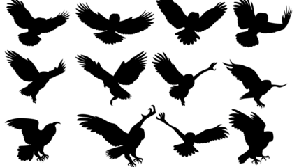 Flying Bird Pattern on Transparent Background Sketch Style