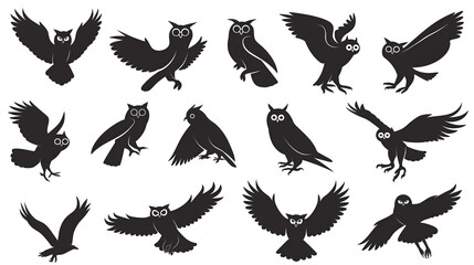 Obraz premium Owl Silhouettes on Transparent Background, Nighttime Creatures