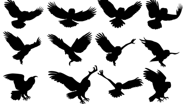 Flying Bird Pattern on Transparent Background Sketch Style