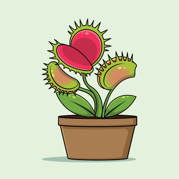 Illustration of a cute Venus flytrap plant with a pot on a green background