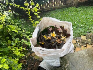 Frangipani Flowers and Garden Waste in Woven Sack – Outdoor Environmental Photography, Natural Light, Close-Up Composition