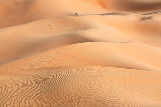 Sand dunes background