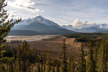 Fototapeta premium mountain meadow