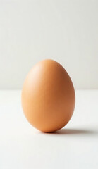 A single brown chicken egg standing upright on a smooth white surface.