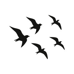 set of birds flying