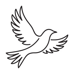 white dove flying
