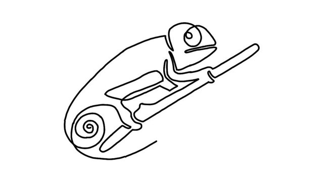 Continue line animation of chameleon icon