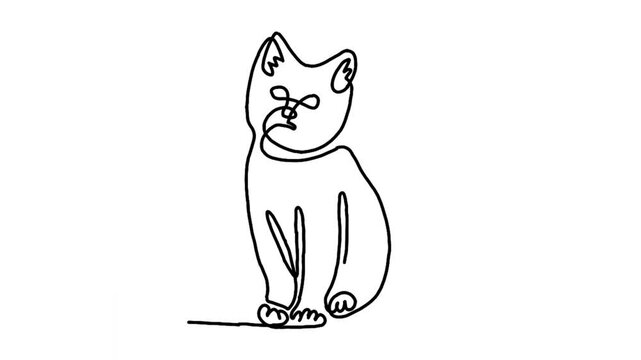 Continue line animation of cat icon