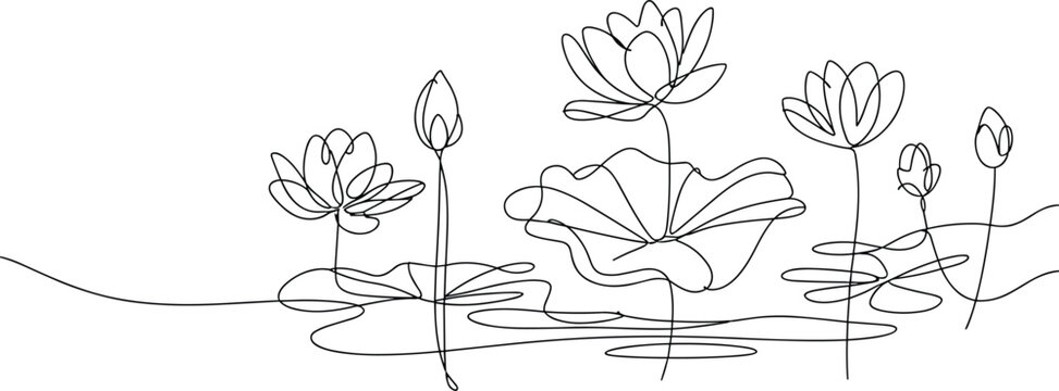 Continuous line drawing of lotus flowers and leaves
