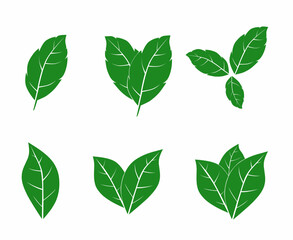 Set of six green leaves in flat vector style. Simple botanical illustration perfect for eco design, nature logo, organic products, and environmental projects.
