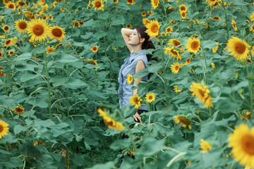 The girl in the sunflower garden