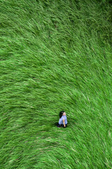 Aerial photography of a girl walking on a long grassland