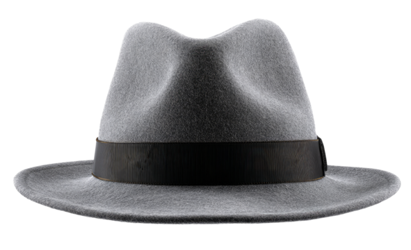 Gray fedora hat with black band (2)