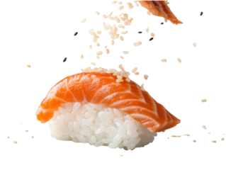 Delicious salmon nigiri sushi with fresh raw fish on rice. Japanese food with falling sesame seed. An appetizing isolated meal