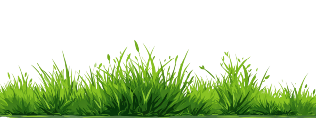 Lush green grass border