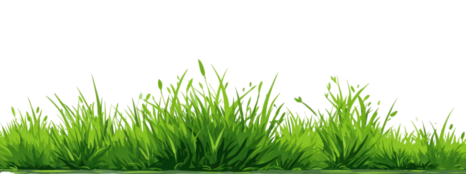 Lush green grass border