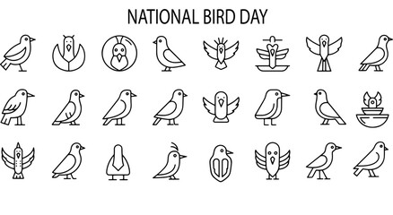 Diverse collection of minimal bird line art icons showcasing various avian species and abstract forms for design Vector