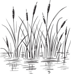 Black ink cattails reeds marsh water © Mehedy