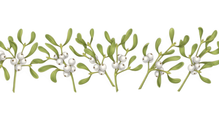 Delicate mistletoe garland with white berries on black background