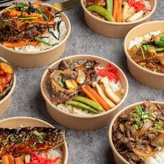 Japanese Grilled beef and Rice Bowls Variety
