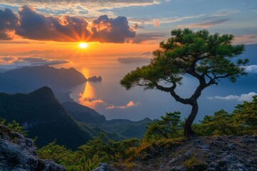 Coastal mountain landscape featuring a solitary tree overlooking sunset