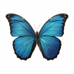 Obraz premium Blue morpho butterfly with vibrant wings isolated on transparent background