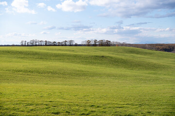 Fototapeta premium Rolling green hills and autumn trees