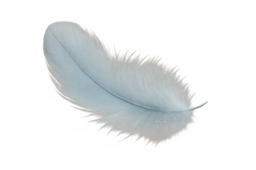 Soft blue feather floating illustrating lightness, freedom, and delicate natural elegance on a transparent background