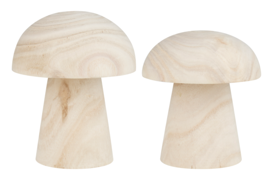 Mushrooms, ornamental plants cut out isolated transparent background - Powered by Adobe