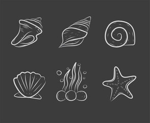 Set of hand-drawn sea elements in doodle style, featuring shells, starfish, and seaweed. Perfect for ocean-themed designs, kids coloring books, and summer decoration projects.