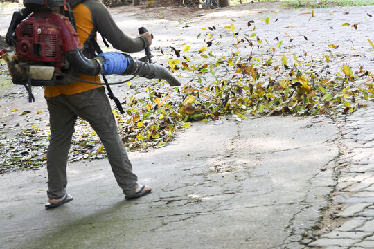 Focused worker using backpack leaf blower for cleaning autumn leaves from cracked concrete path. Seasonal maintenance in yard, clearing foliage from garden