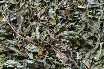 Dried chopped mint leaves. Aromatic dried natural mint