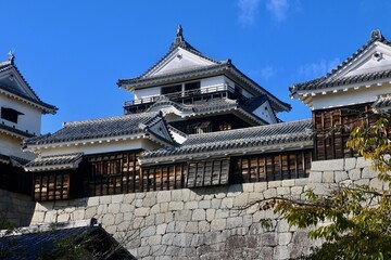 Fototapeta premium 松山城・天守・城郭（愛媛県・松山市）