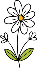 Hand Drawn Daisy Wild Flower Vector Illustration Minimal Botanical Design