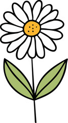 Hand Drawn Daisy Wild Flower Vector Illustration Minimal Botanical Design