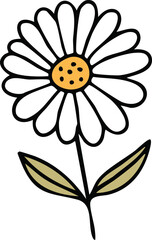 Hand Drawn Daisy Wild Flower Vector Illustration Minimal Botanical Design