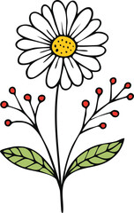 Hand Drawn Daisy Wild Flower Vector Illustration Minimal Botanical Design