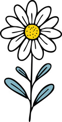 Hand Drawn Daisy Wild Flower Vector Illustration Minimal Botanical Design