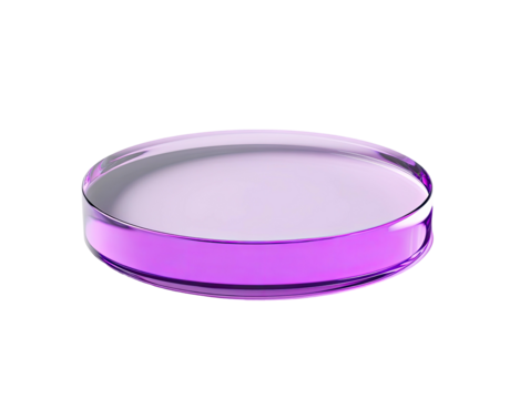 Petri dish round, clear, pink-purple medium against a black background