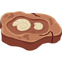 Fossilized Ammonites Embedded in Ancient Rock Displaying Swirling Shell Patterns on a Brown Uneven Surface with Light Brown Interior and Dark Brown Edges Isolated on White